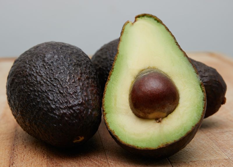 Arquivo:Abacateiro.jpg